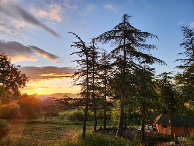 Hébergement AbracadaRoom : La Chaumière magique des Elfes et son escape game - Image 4