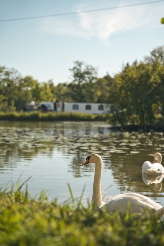 Domaine AbracadaRoom : DOMAINE DU CANAL - Image 4