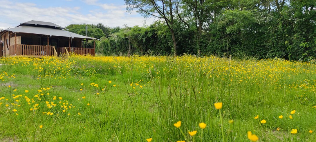 Domaine AbracadaRoom : You & Me Glamping - Image 2