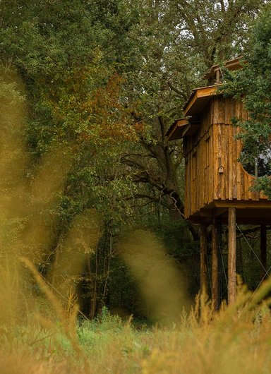 Cabane Spa Ecole Buissonnière à St-Léger-Aux-Bois