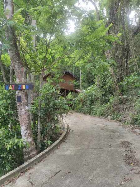 Hébergement AbracadaRoom : Ti Kabane Kaz Zion dans les arbres - Image 16