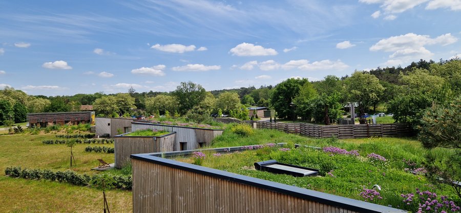 Domaine AbracadaRoom : Domaine de l'Epau - Image 7