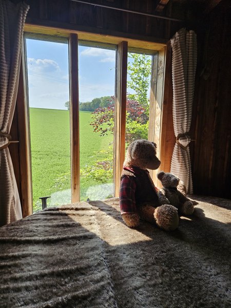 Domaine AbracadaRoom : Le Refuge des 3 Ours - Image 29