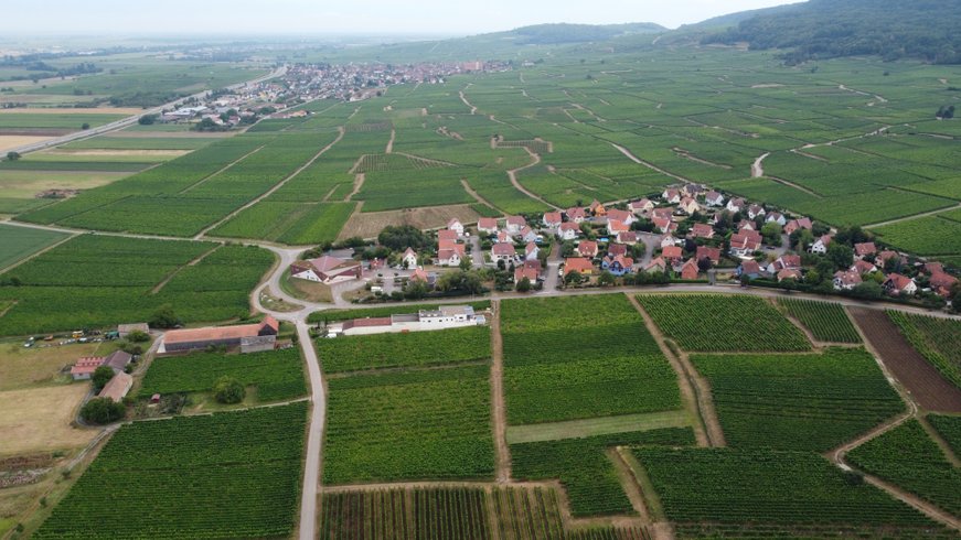 Hébergement AbracadaRoom : La Chambre aux Bouteilles - Expérience oenologique - Image 18