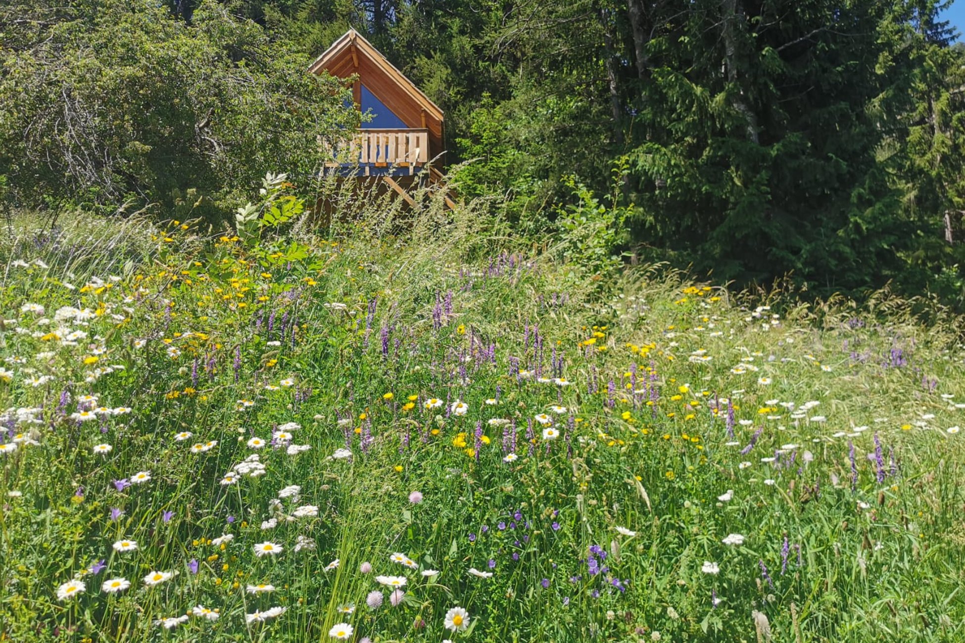 Hébergement UnicStay : Cabane "Les terres blanches" à Le Lauzet Ubaye