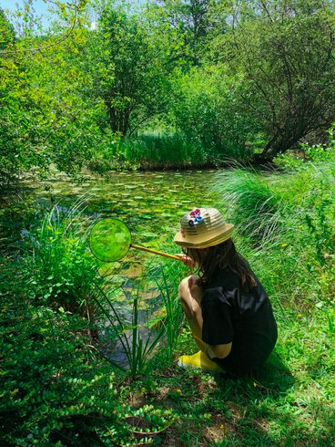 Hébergement AbracadaRoom : La Cabane du Héron, lodge sur pilotis, étang, nature, biodiversité - Image 21