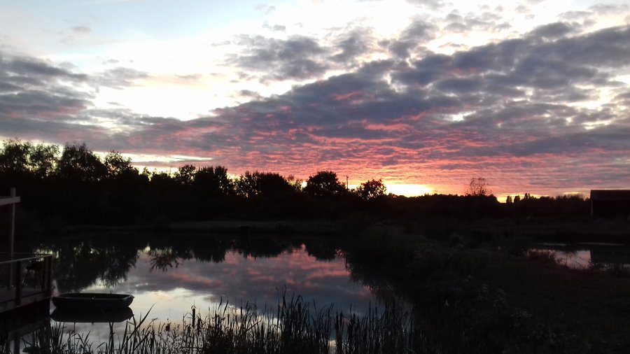 Hébergement AbracadaRoom : Lodge Flottant Nénuphar - Image 8
