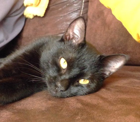 Domaine AbracadaRoom : Arborea - Image 22