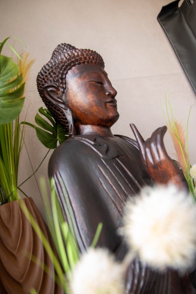 Le Dôme du Levant & Spa, Cinéma : Dôme en Lorraine (Grand Est)