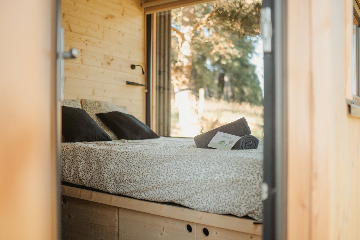 Homnest - L'Instant Sauvage - Vue Cimes & Forêt à Riotord (7)