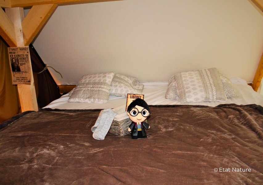 Hébergement AbracadaRoom : Le gîte Harry Potter - Image 12