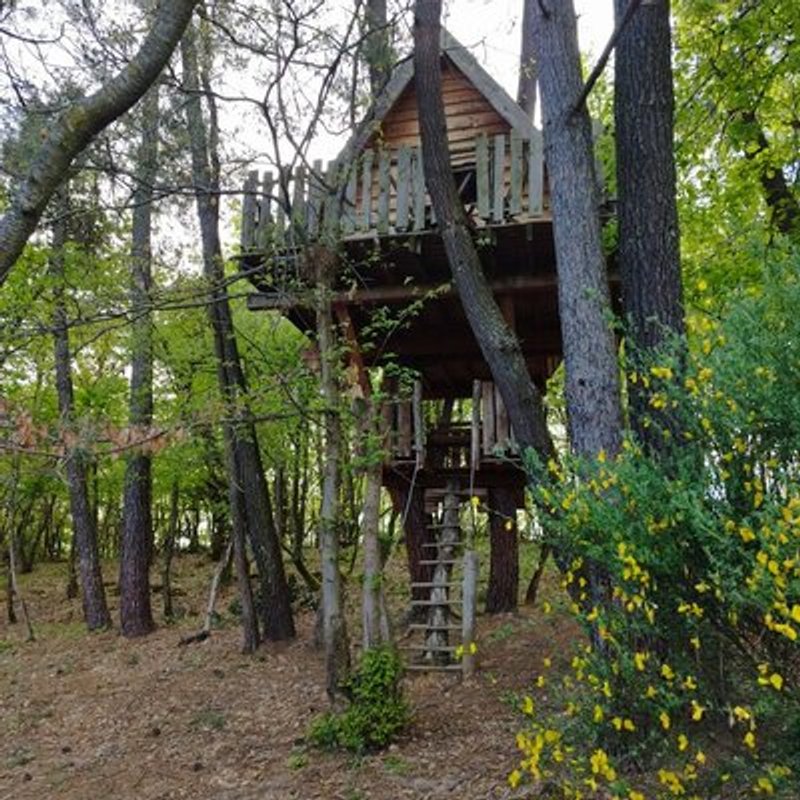 Cabane Nid d’Oiseaux - Un cocon perché qui danse avec le vent à Saint-Donat-Sur-L'herbasse (11)