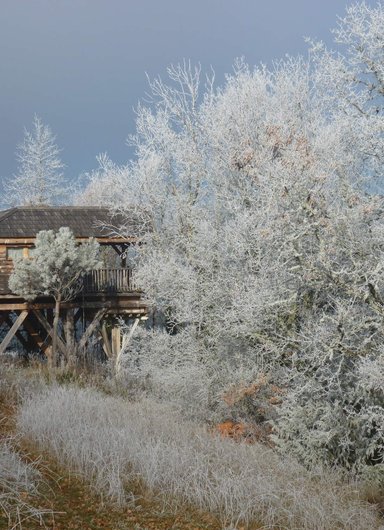 La Cabane-Spa des Figuiers à Salignac-Eyvigues
