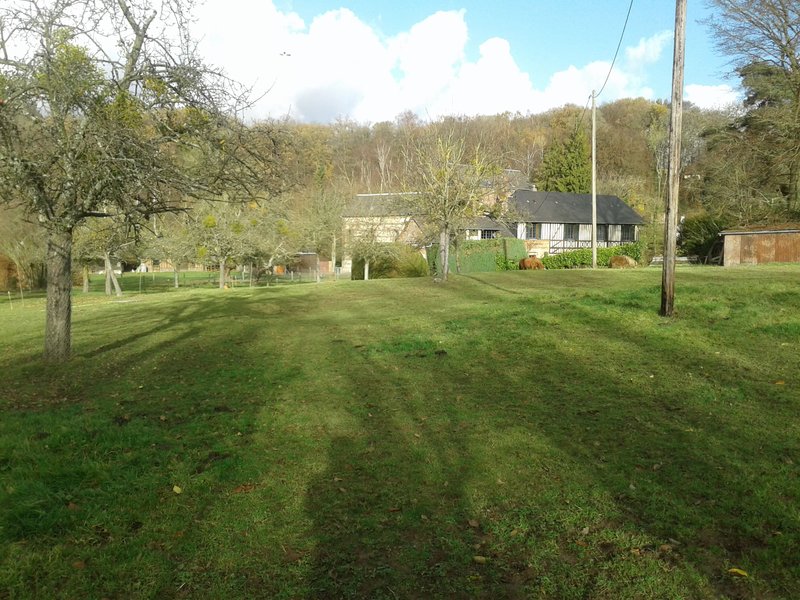 Domaine AbracadaRoom : Graine d'insolite - Image 1