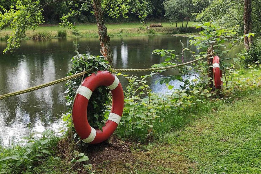Domaine AbracadaRoom : Gîtes du Vieux Tilleul - Image 6
