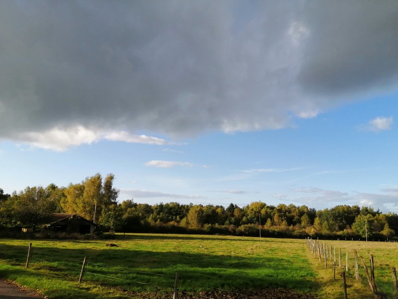Domaine AbracadaRoom : Tiny House "Ô P'tit Nid Milie"   avec sauna : Classé 1 étoile - Vosges - Image 11