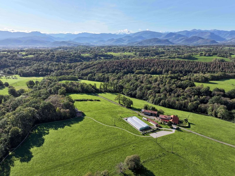 Domaine AbracadaRoom : Spiru'bulle - Image 1