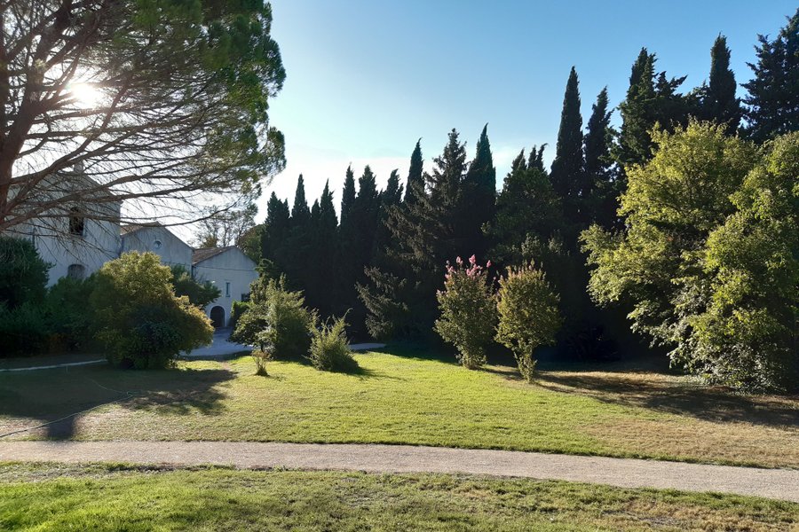 Roulotte Marius & Piscine en Provence — photo 2