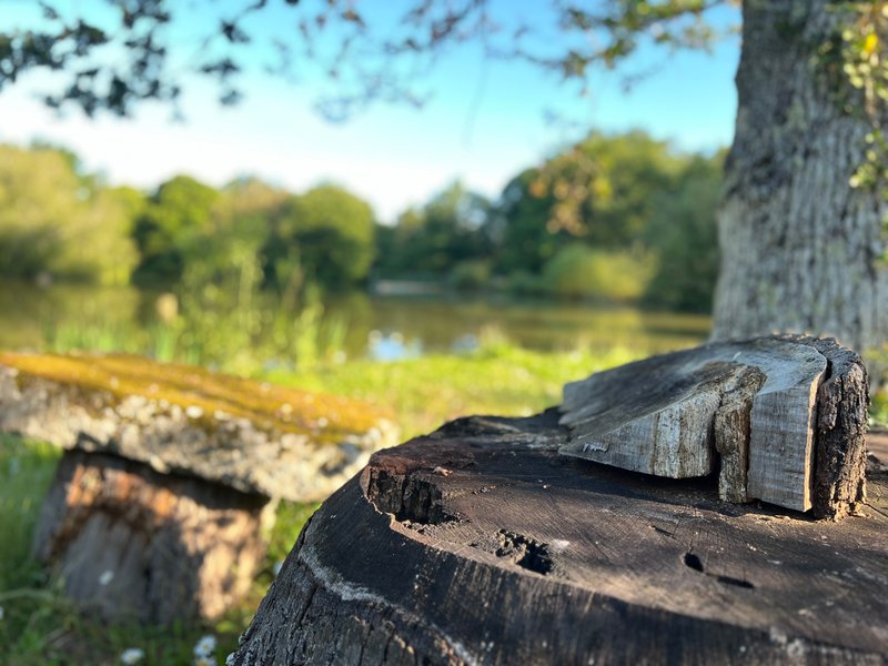 Domaine AbracadaRoom : Domaine de la Vergnolle - Image 6