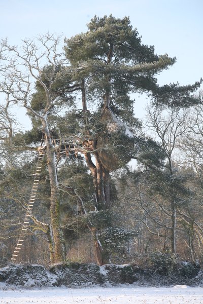 Hébergement AbracadaRoom : Cabane Cocon - Image 11