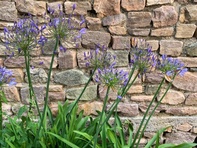 Domaine AbracadaRoom : La Ville Es Renais - Image 13