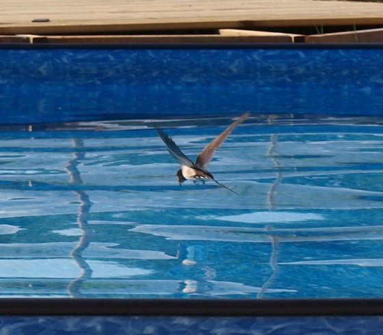 Domaine AbracadaRoom : Kaban'Etik - Image 15