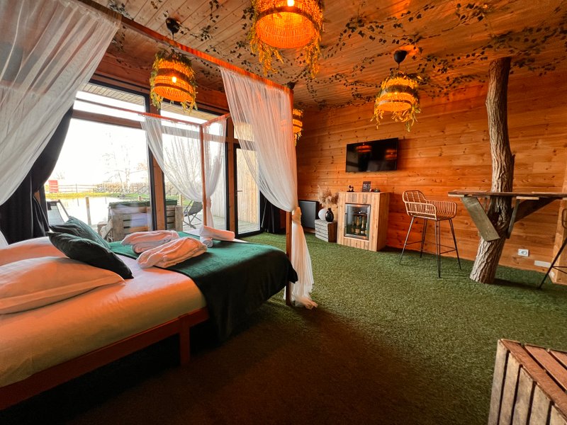 Hébergement AbracadaRoom : JUNGLE - Image 5