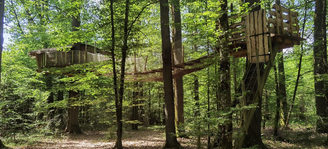 Domaine AbracadaRoom : Les Cabanes du Lac du Der - Image 1