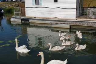 Cottage Flottant Insolite Ouges