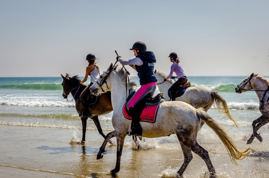 centre-equestre-arcachon