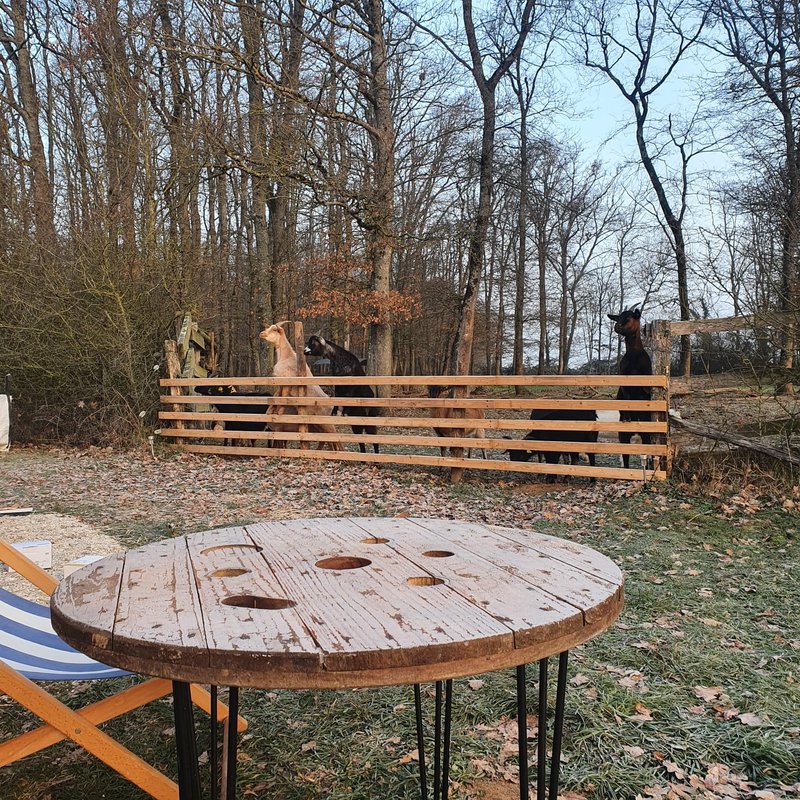 Tiny House La Chèvrerie proche de Montargis - 1h de Paris ! à Girolles (21)