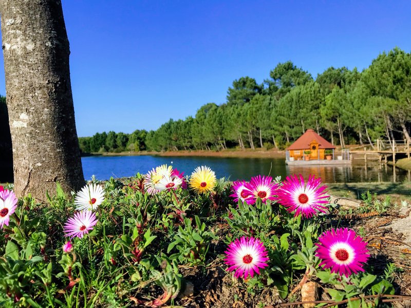 Domaine AbracadaRoom : Domaine de Lann Hallat - Image 4