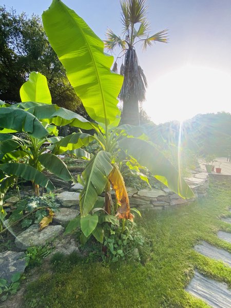 Hébergement AbracadaRoom : Le Repaire du dragon, château féérique avec SPA - Image 52