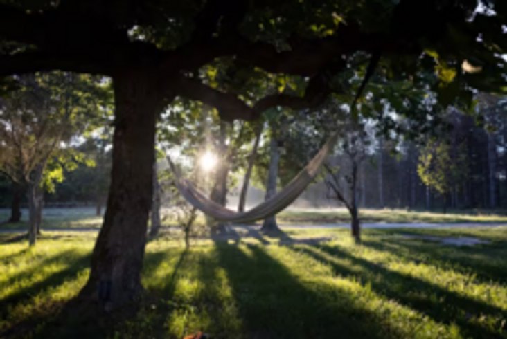 Domaine AbracadaRoom : Lost in Sensations - Image 4