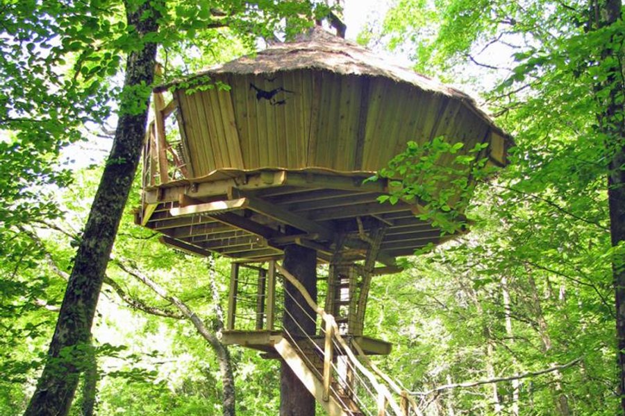Cabane des Robinsons — photo 2