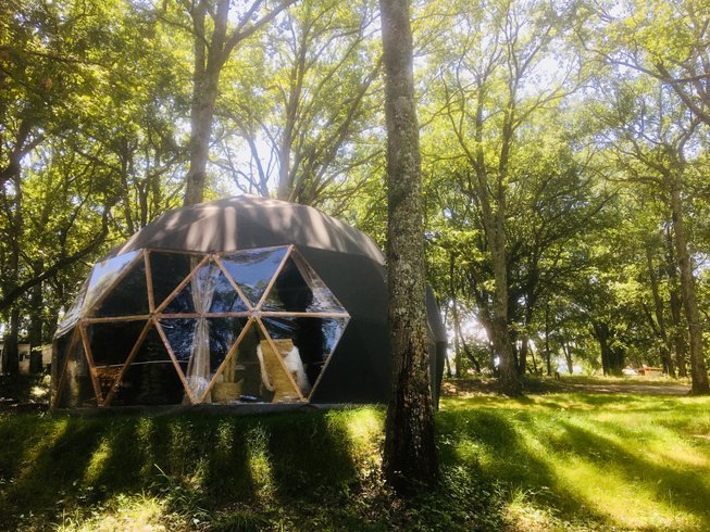 Hébergement AbracadaRoom : Jungle Dôme - Image 10