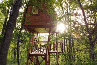 La cabane entre les cimes