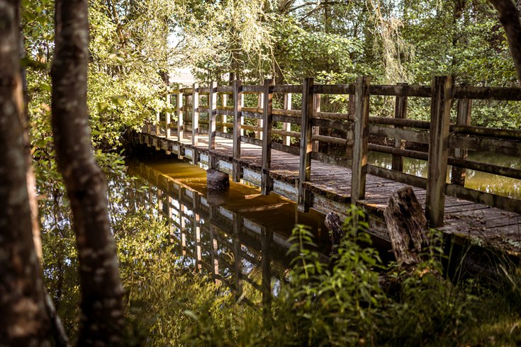 Domaine AbracadaRoom : Chalet du Puy Charrier - Image 9