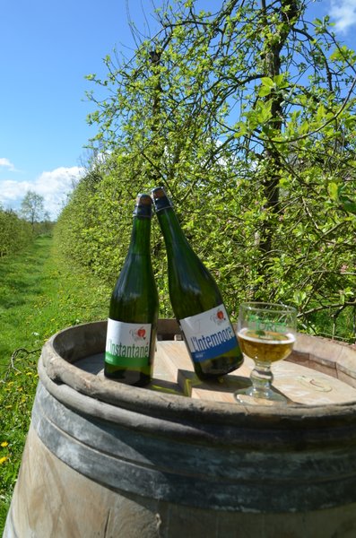 Domaine AbracadaRoom : LES VERGERS DE LA ROUERIE - Image 3