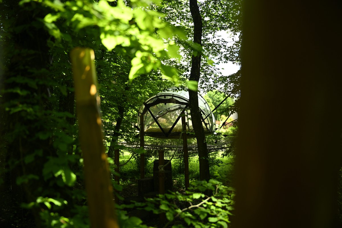 Bulle suspendue - Royaume des gourmets à Parmilieu (3)