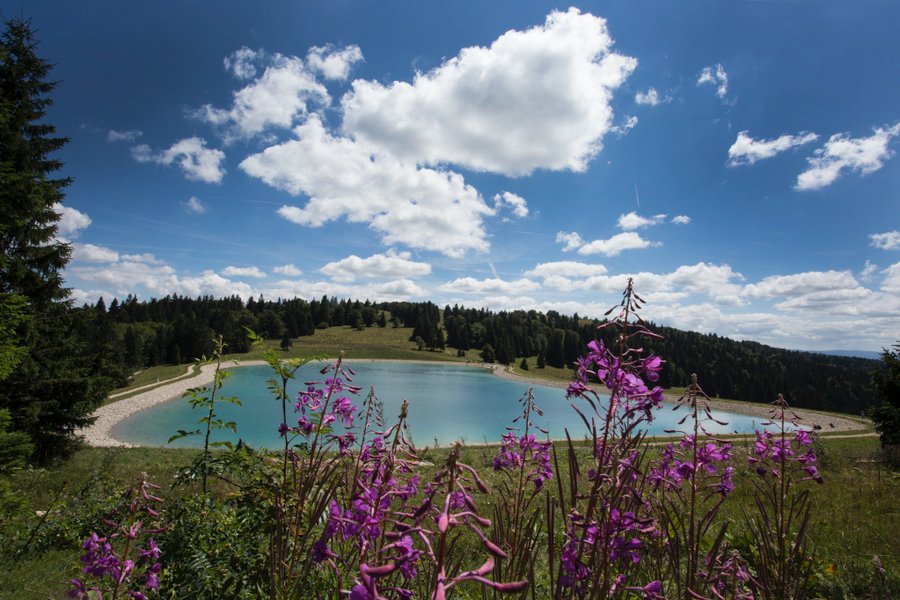 Domaine AbracadaRoom : The Wedge - Image 1