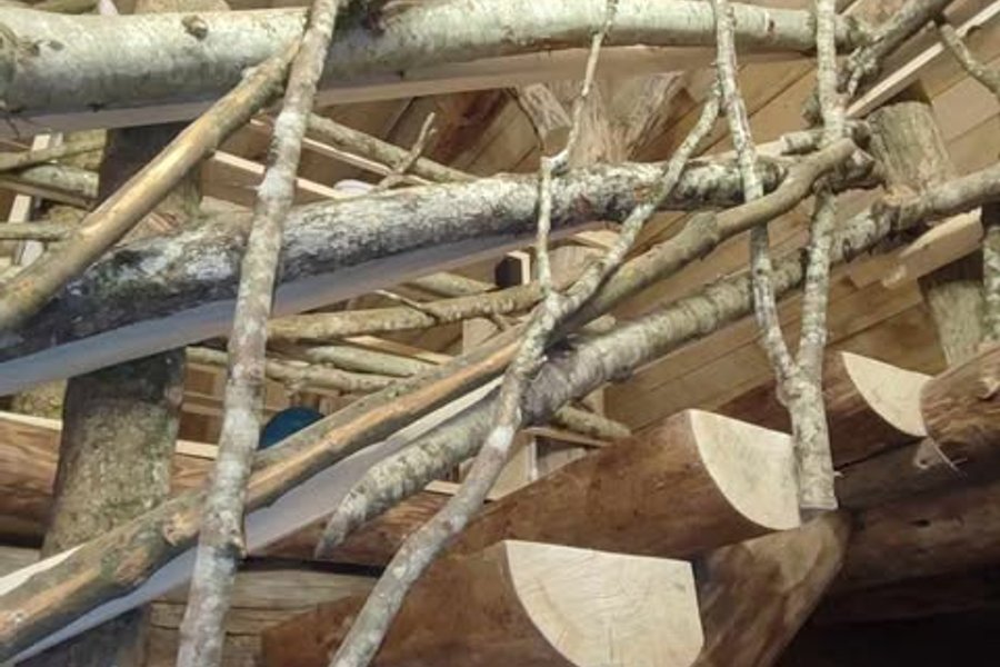 Le Caribou & Spa & Sauna — photo 2