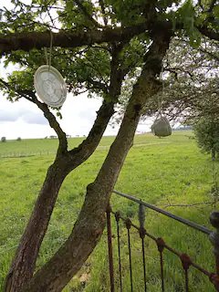 Domaine AbracadaRoom : Roulotte du Jura Vert - Image 3