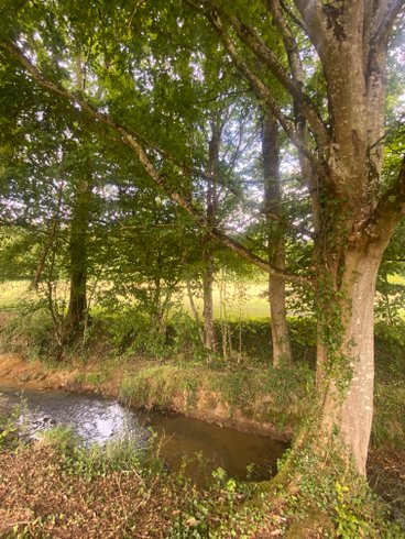 Hébergement AbracadaRoom : Tipi Lakota - Image 22