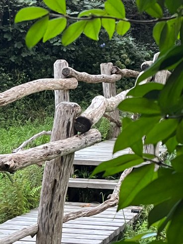 Hébergement AbracadaRoom : Cabane Le Cœur de Xanet - Image 7