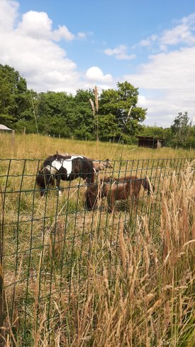 Hébergement AbracadaRoom : Dôme - Image 6