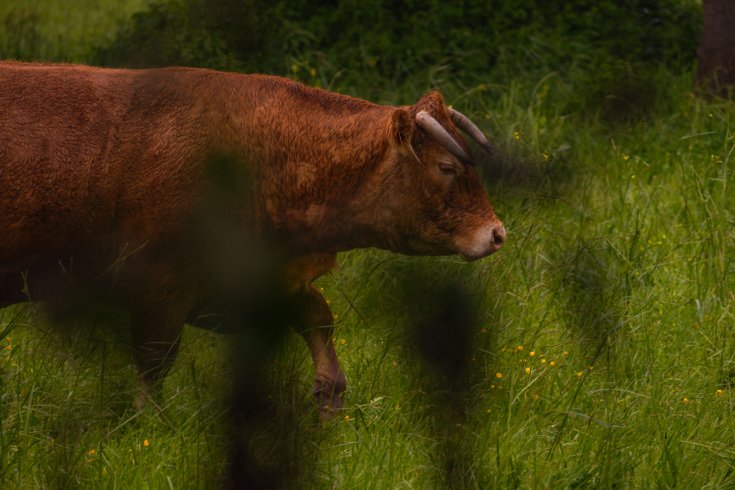 Domaine AbracadaRoom : Homnest (Mouliets) - Image 6