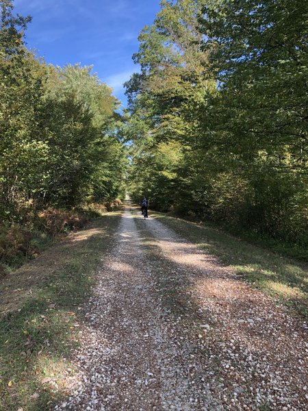 Hébergement AbracadaRoom : Le P'tiot Utau - Image 28