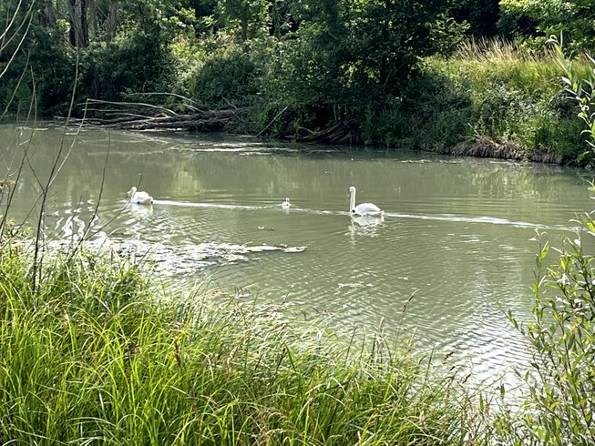 Domaine AbracadaRoom : Roulotte de charme - Marais Poitevin - Image 12