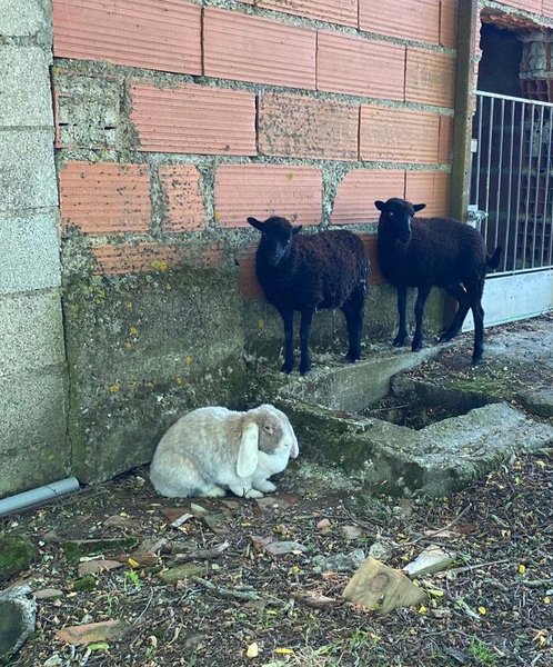 Domaine AbracadaRoom : Dans ma bulle - Image 23